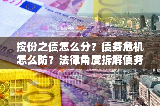 武汉按份之债怎么分？债务危机怎么防？法律角度拆解债务分配与风险自保指南