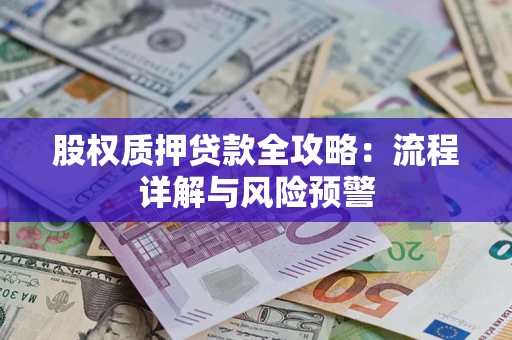 武汉股权质押贷款全攻略：流程详解与风险预警