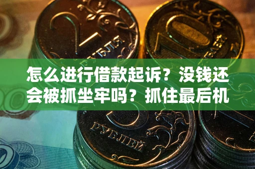 武汉怎么进行借款起诉？没钱还会被抓坐牢吗？抓住最后机会！