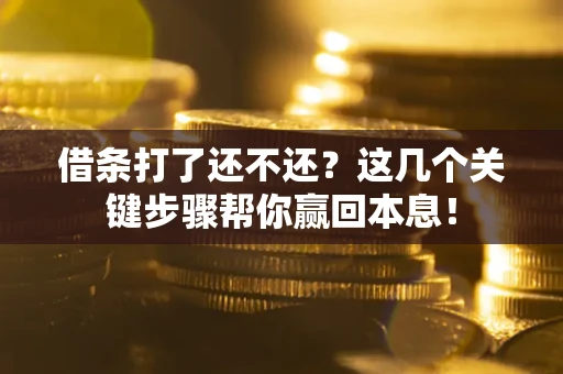 武汉借条打了还不还？这几个关键步骤帮你赢回本息！