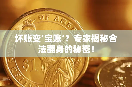 武汉坏账变‘宝账’？专家揭秘合法翻身的秘密！