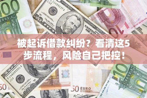 武汉被起诉借款纠纷？看清这5步流程，风险自己把控！