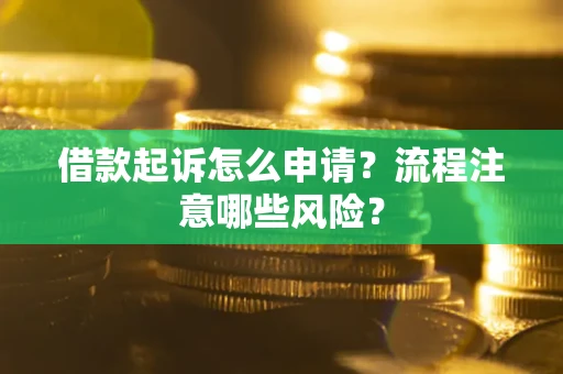 武汉借款起诉怎么申请？流程注意哪些风险？