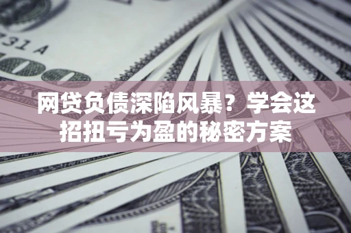 武汉网贷负债深陷风暴？学会这招扭亏为盈的秘密方案